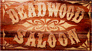 Wild West Saloon Sign